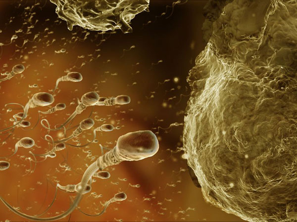 anatomy under microscope