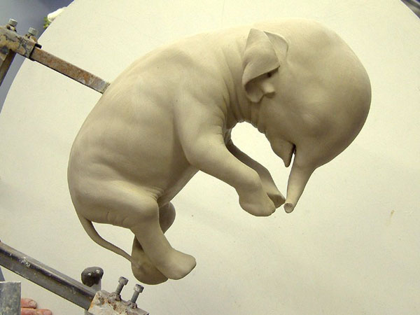 anatomy under microscope