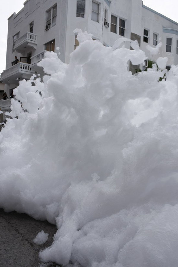 Miami Foam