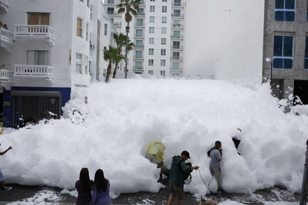 Miami Foam