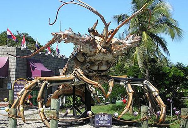09-words-largest-lobster.jpg