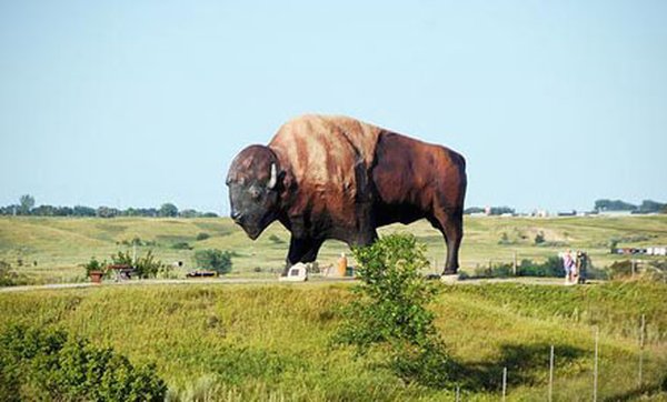 14-worlds-largest-buffalo.jpg