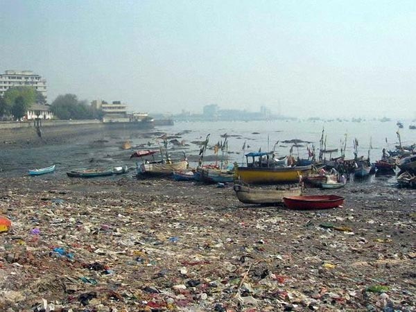 Golden beaches of India