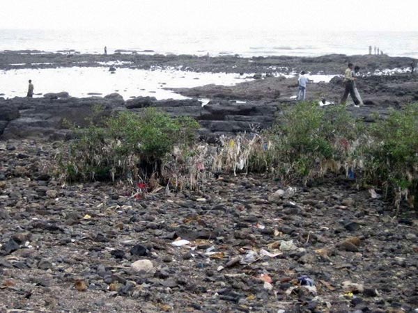 Golden beaches of India