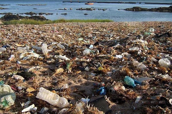 Golden beaches of India