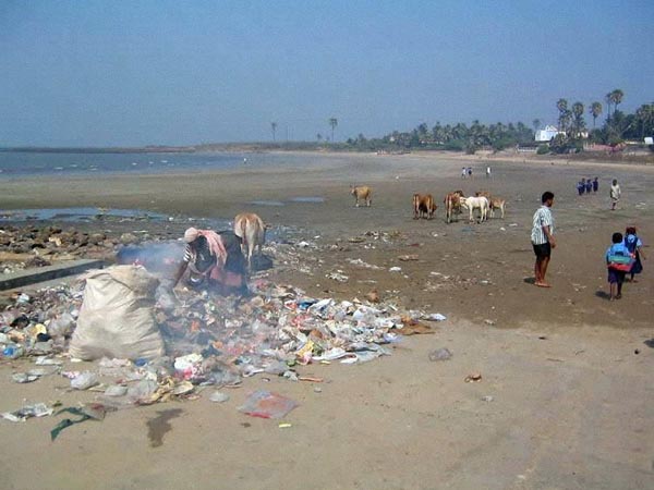 Golden beaches of India