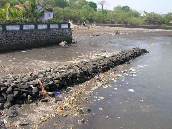 Golden beaches of India
