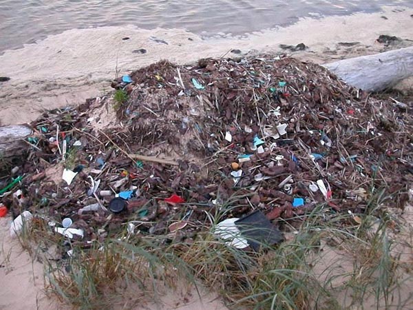 Golden beaches of India