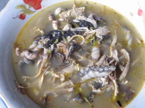 Snake Soup