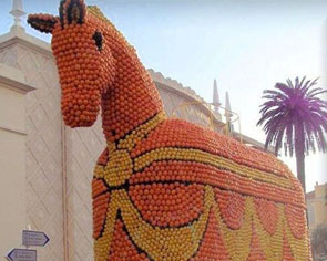 Amazing oranges installations