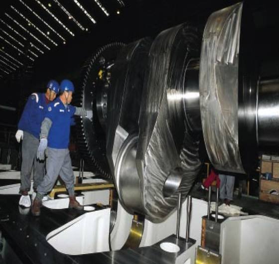 Danish container EMMA MAERSK