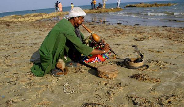 The Snake Taming Festival taming cobra