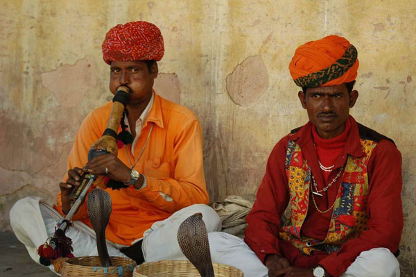 The Snake Taming Festival taming cobra