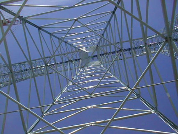 millenium force roller coster