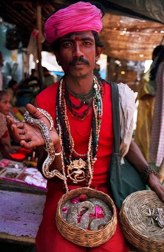 The Snake Taming Festival taming cobra