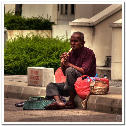 The Snake Taming Festival taming cobra