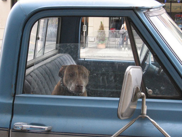 best car alarm system