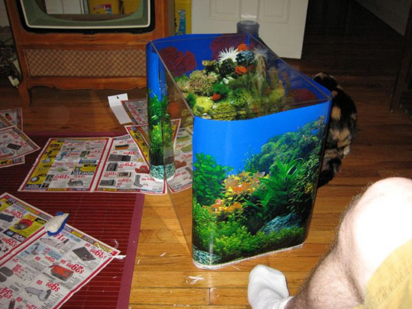 old tv aquarium