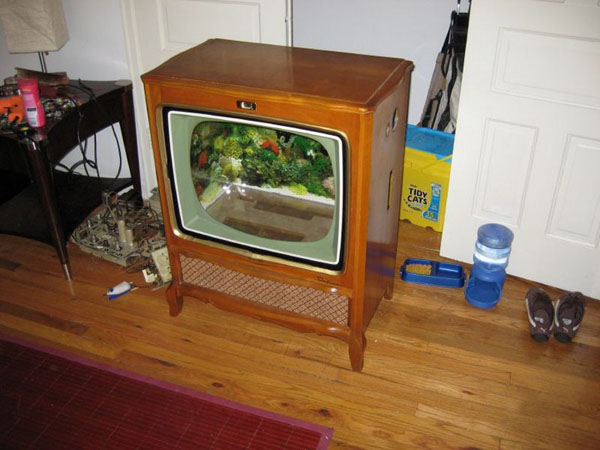old tv aquarium