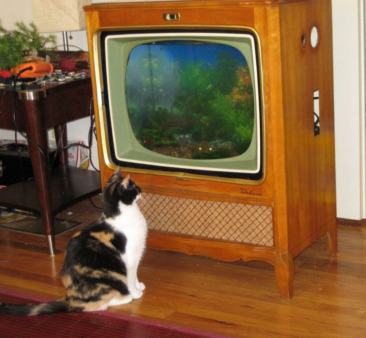 old tv aquarium