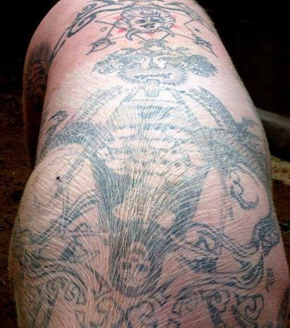 pig tattoo art