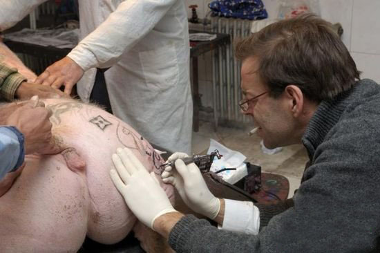 pig tattoo art