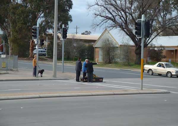 lost coffin on the road