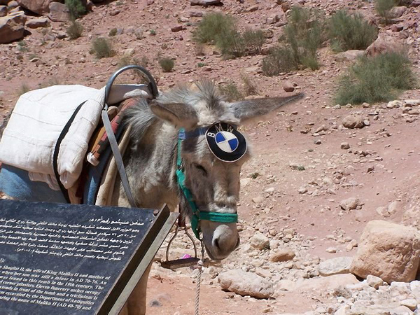 bmw next generation vehicle