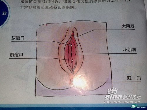 Chinese sex book for children