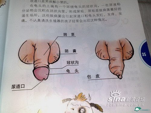 Chinese sex book for children