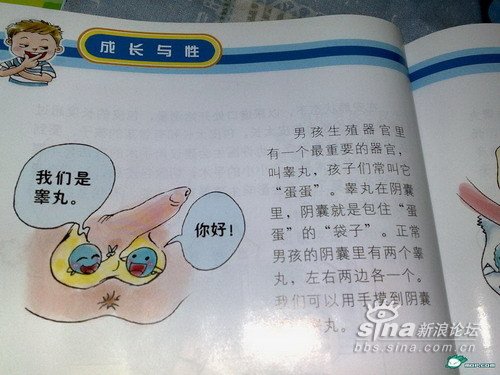 Chinese sex book for children