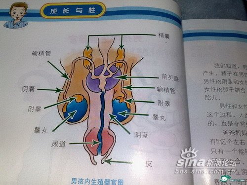 Chinese sex book for children