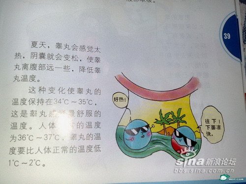 Chinese sex book for children