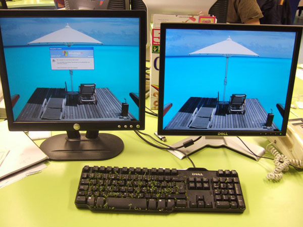 office grass keyboard