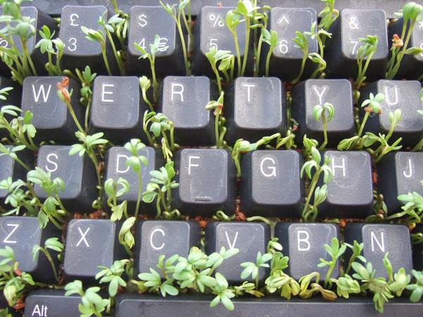 office grass keyboard