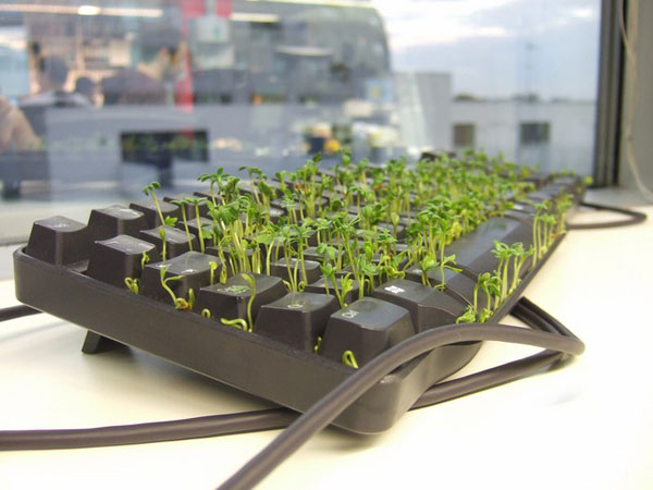 office grass keyboard