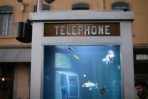 aquarium phone booth