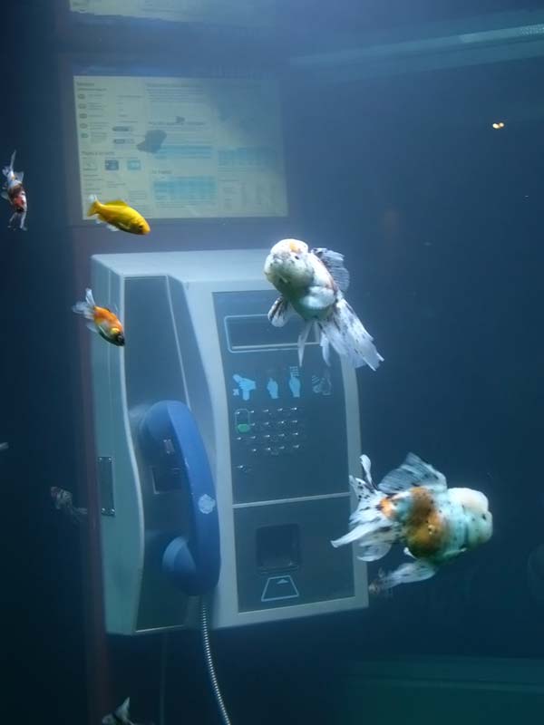 aquarium phone booth
