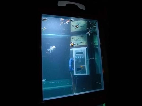 aquarium phone booth
